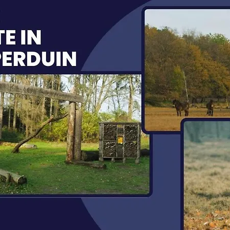 Prime Location With Wifi, Hotelbeds, Parking 3*